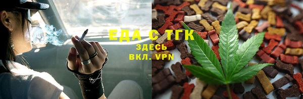 индика Верхний Тагил
