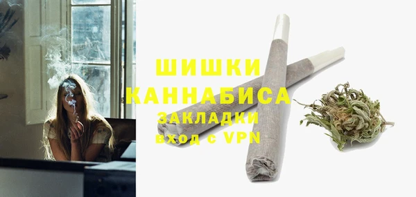 МДПВ Бронницы