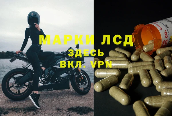 каннабис Верея