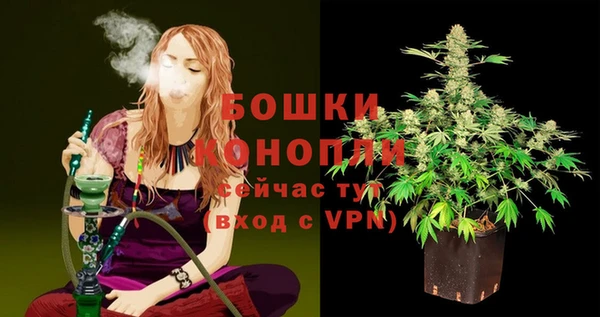 индика Верхний Тагил