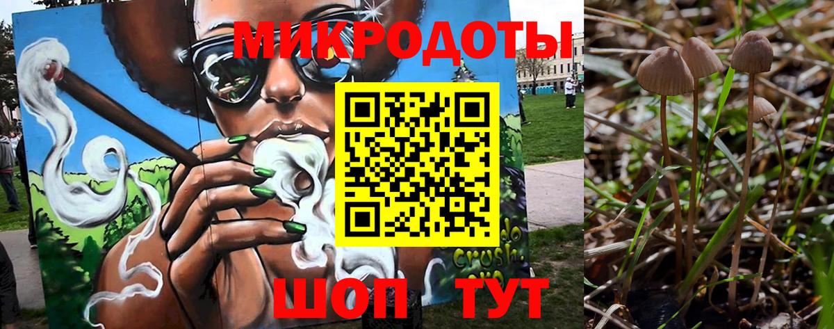 Бутурлиновка  Псилоцибиновые грибы GOLDEN TEACHER  Вход с VPN  Галлюциногенные грибы MAGIC MUSHROOMS 