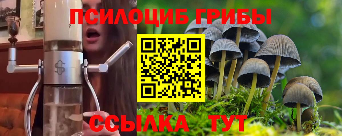 Галлюциногенные грибы Cubensis  Бутурлиновка  Псилоцибиновые грибы прущие грибы 